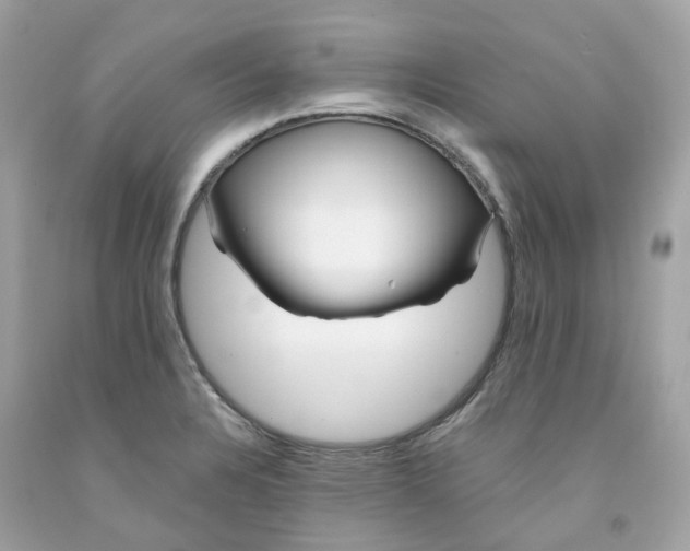 X0000091471328200709061810