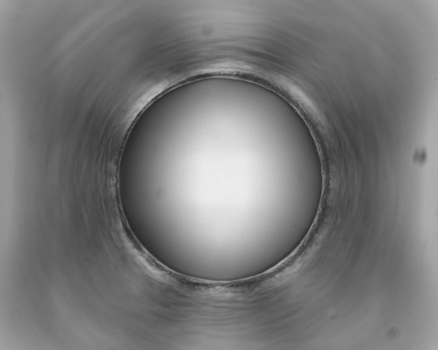 X0000091471329200709061810