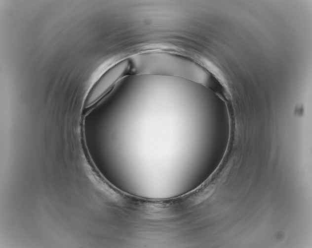 X0000091471330200709061810