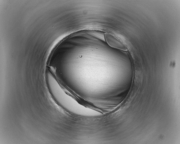 X0000091471331200709061810