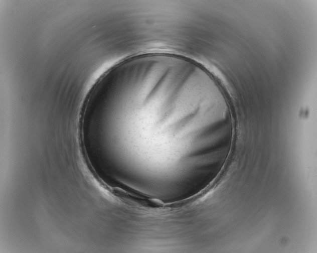 X0000091471333200709061810