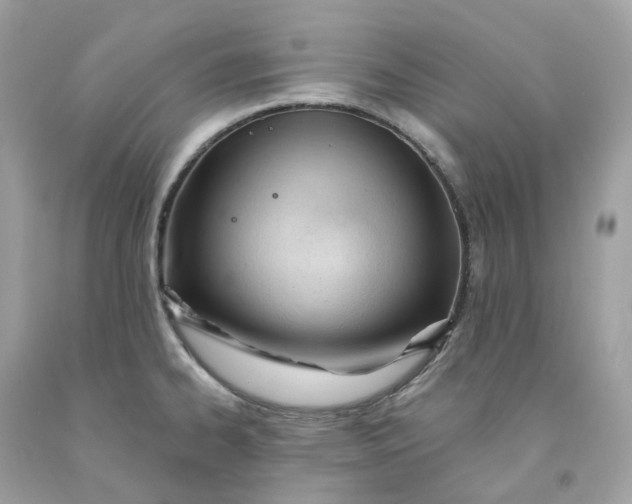 X0000091471334200709061810