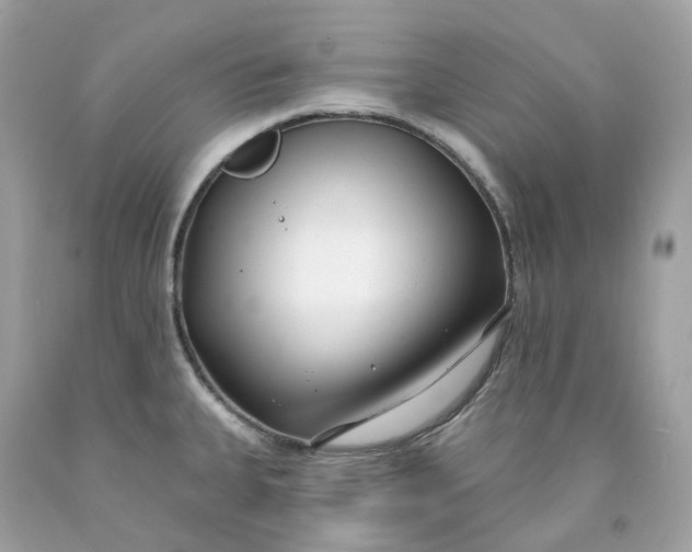 X0000091471335200709061810