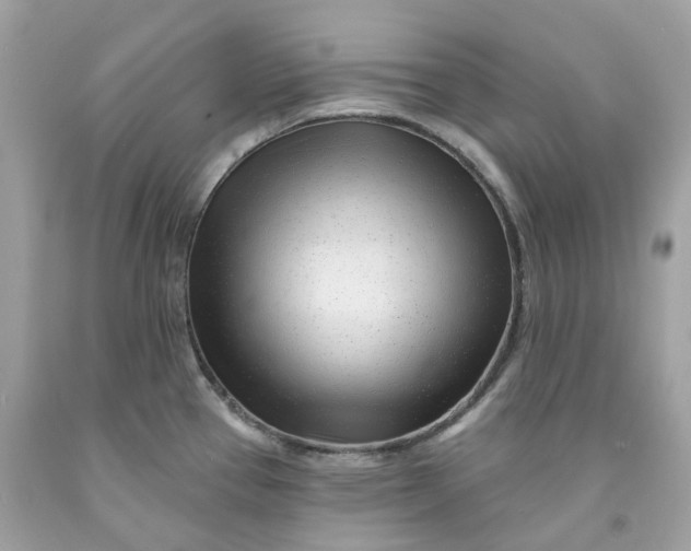 X0000091471337200709061810