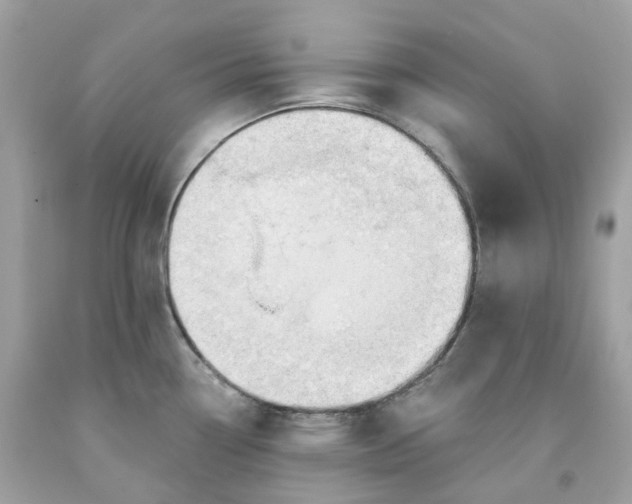 X0000091471338200709061810