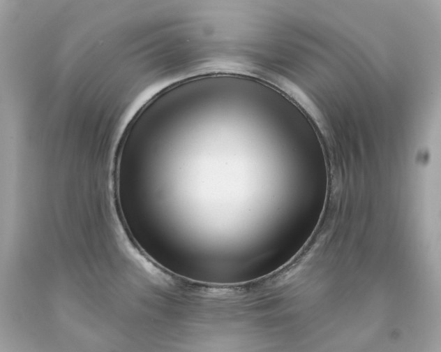 X0000091471339200709061810