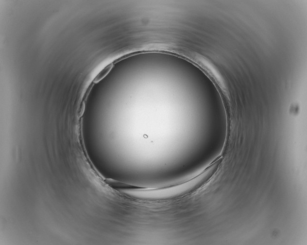 X0000091471340200709061810