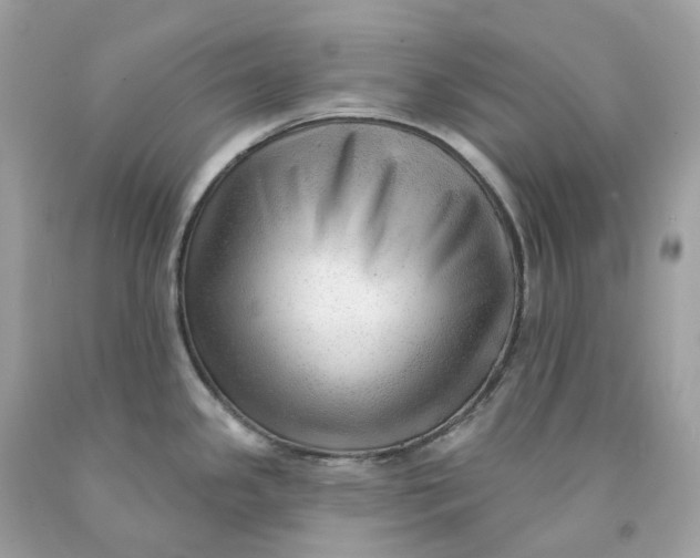 X0000091471341200709061810