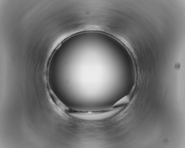 X0000091471342200709061810