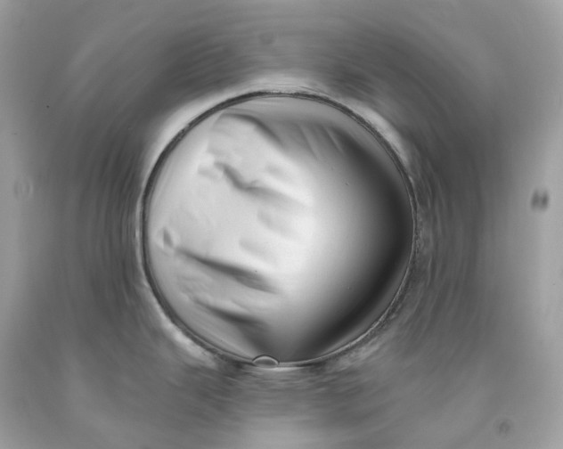 X0000091471343200709061810