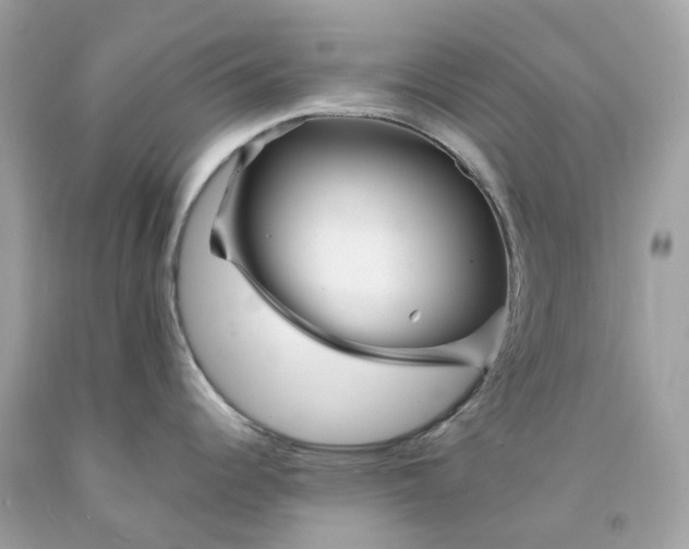 X0000091471344200709061810