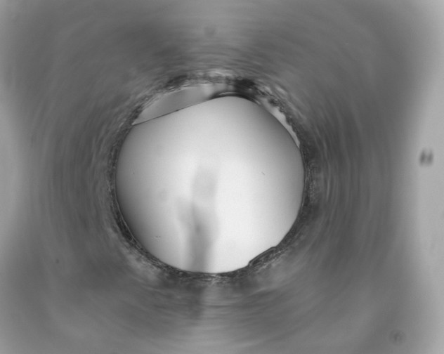 X0000091471345200709061810