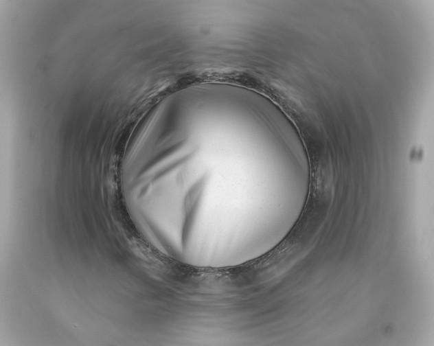 X0000091471346200709061810