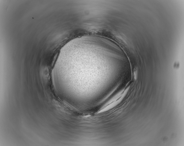 X0000091471347200709061810