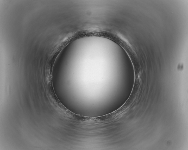 X0000091471348200709061810