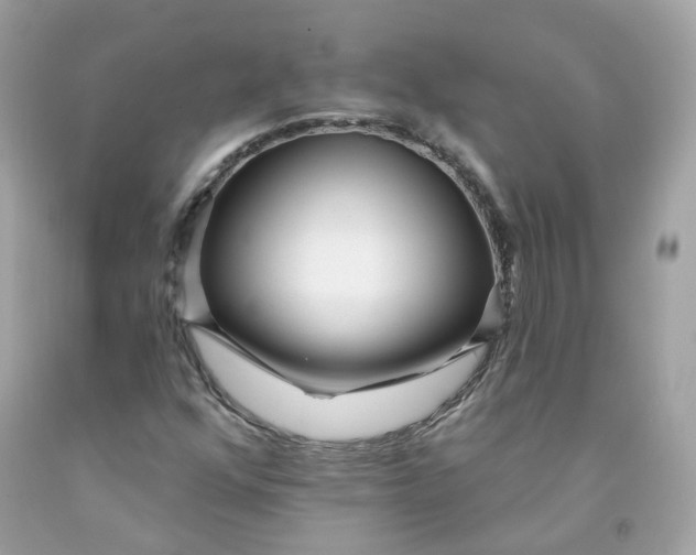 X0000091471352200709061810