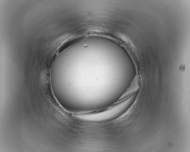 X0000091471353200709061810