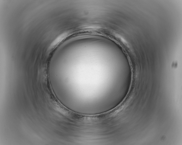 X0000091471354200709061809