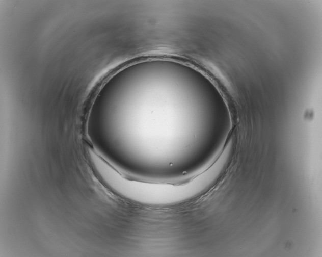 X0000091471356200709061809