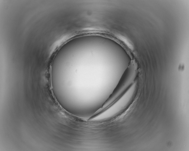 X0000091471357200709061809