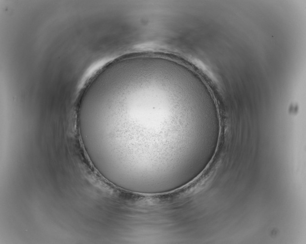 X0000091471358200709061809