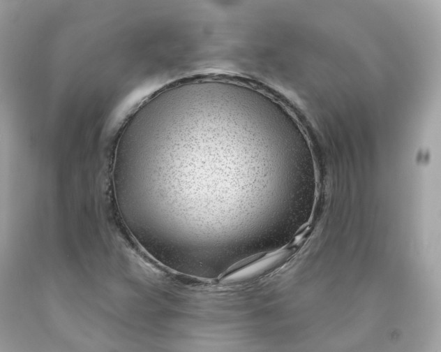 X0000091471359200709061809