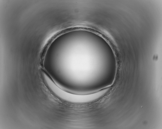 X0000091471360200709061809