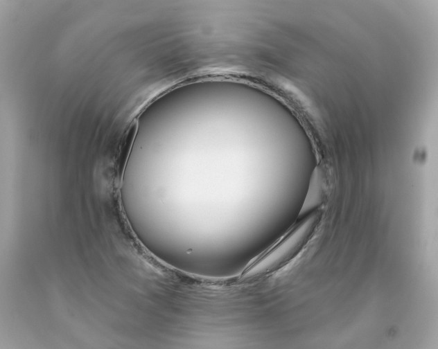 X0000091471361200709061809