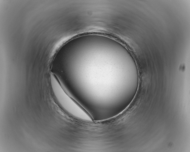 X0000091471363200709061809