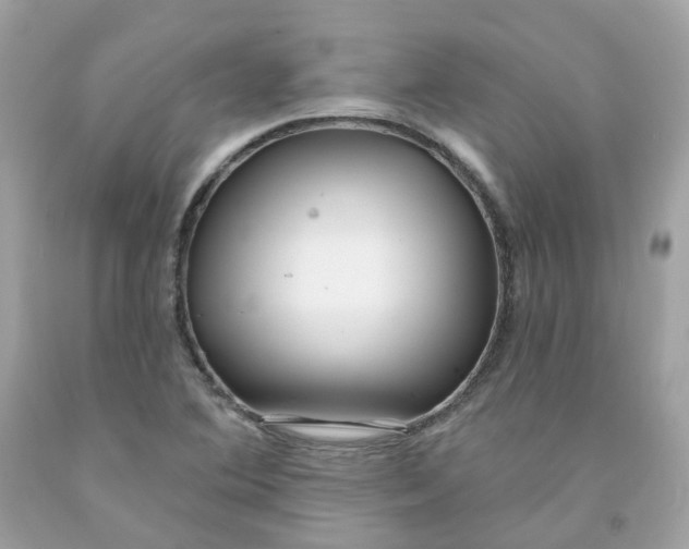 X0000091471364200709061809