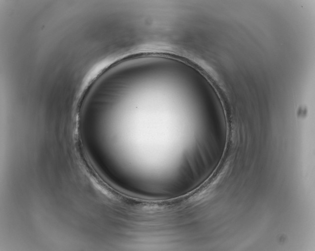 X0000091471366200709061809