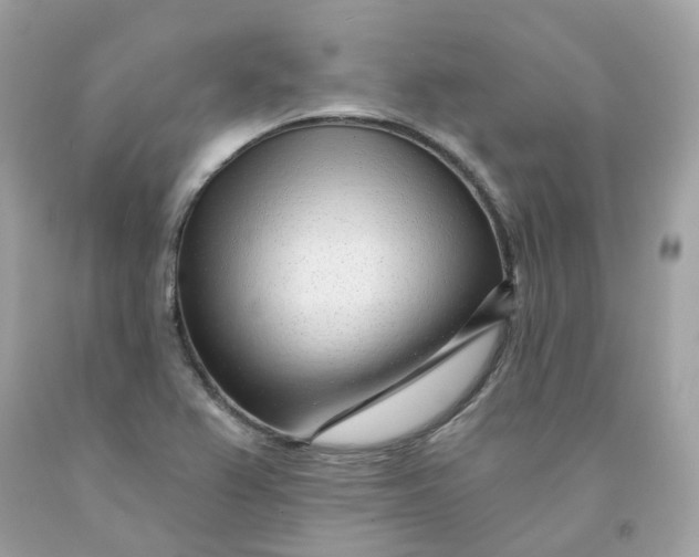 X0000091471367200709061809