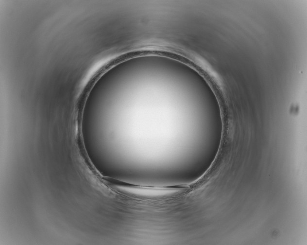 X0000091471368200709061809