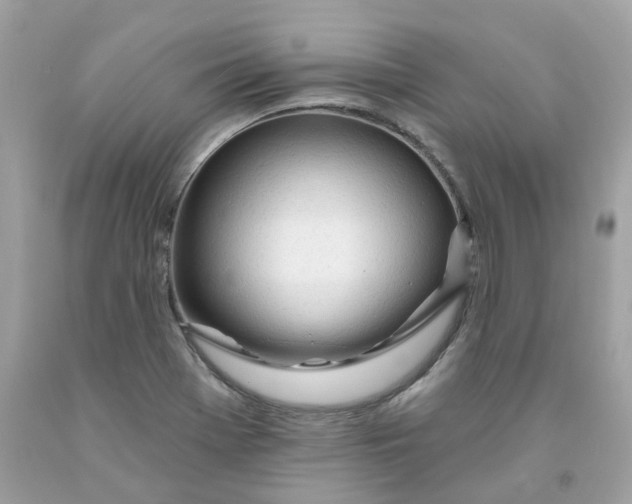 X0000091471369200709061809