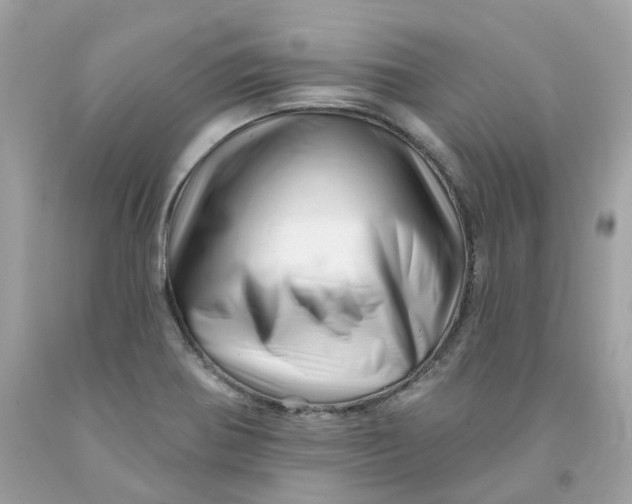 X0000091471370200709061809