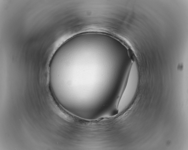 X0000091471371200709061809