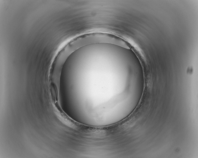 X0000091471372200709061809