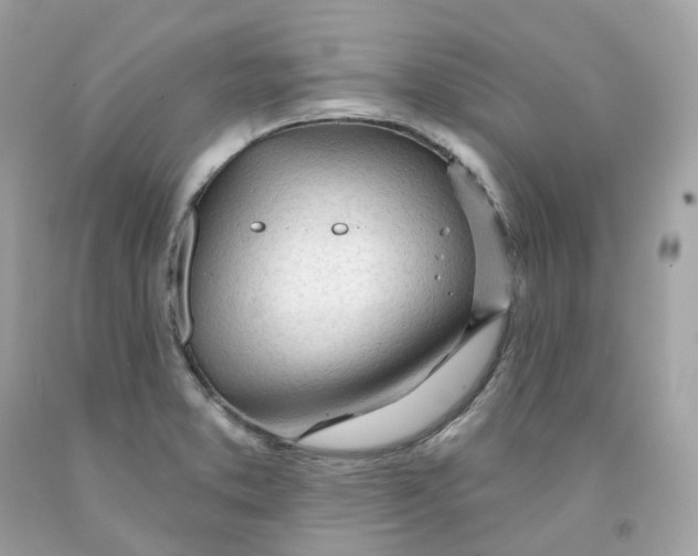 X0000091471373200709061809