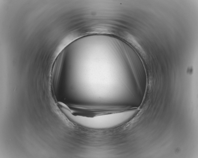 X0000091471378200709061809