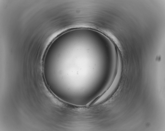 X0000091471380200709061809