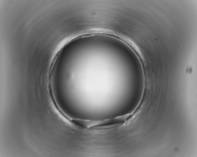 X0000091471381200709061809