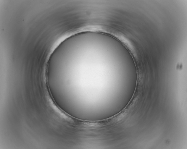 X0000091471382200709061809