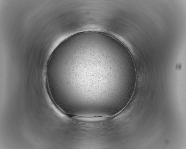 X0000091471383200709061809