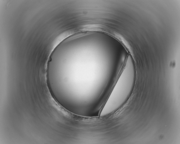 X0000091471386200709061809