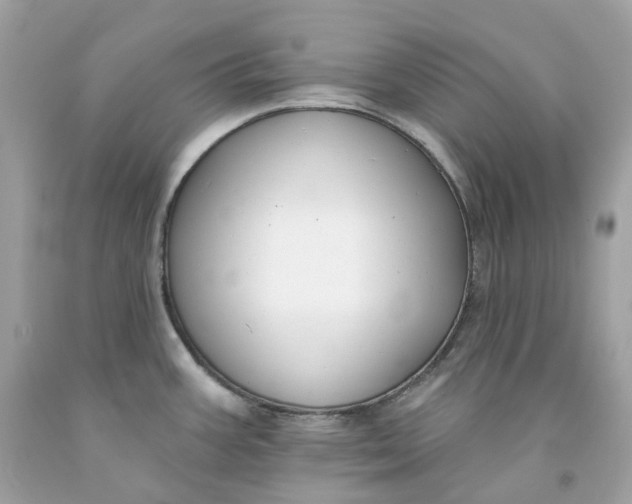 X0000091471387200709061809