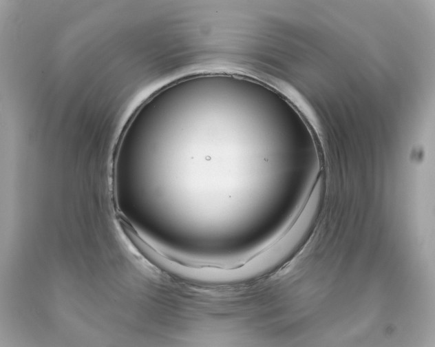 X0000091471388200709061809