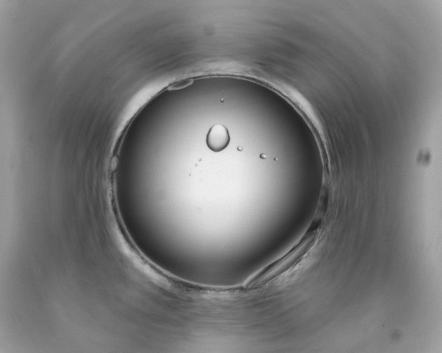 X0000091471389200709061809