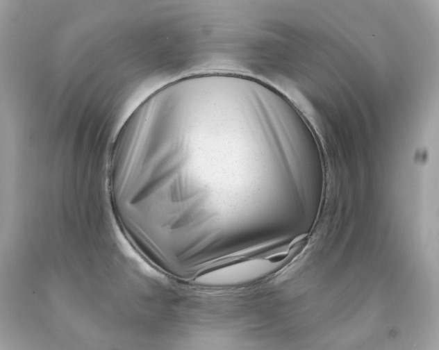 X0000091471390200709061809