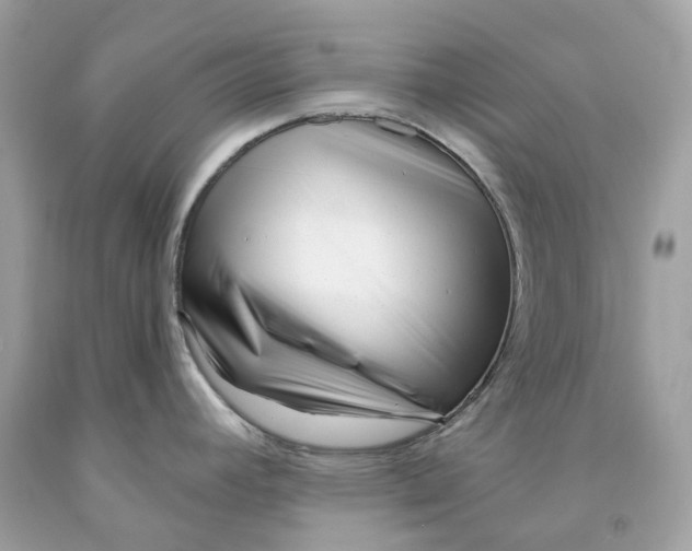 X0000091471392200709061809