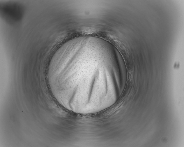 X0000091471393200709061808
